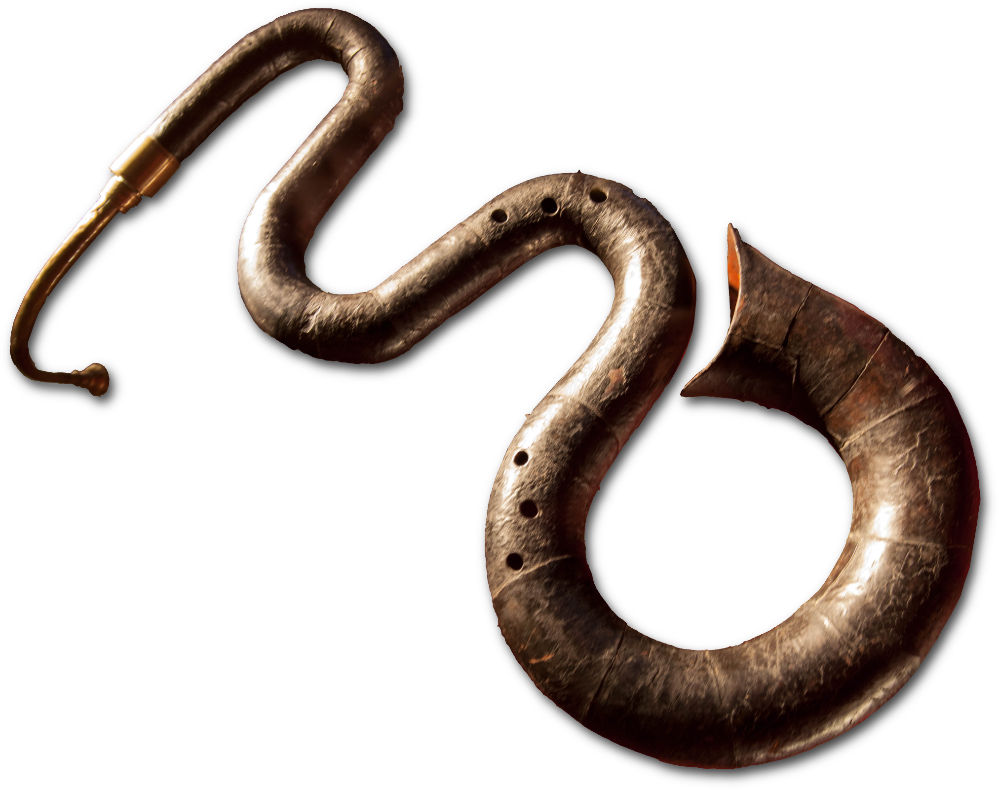 Photograph of a Serpent