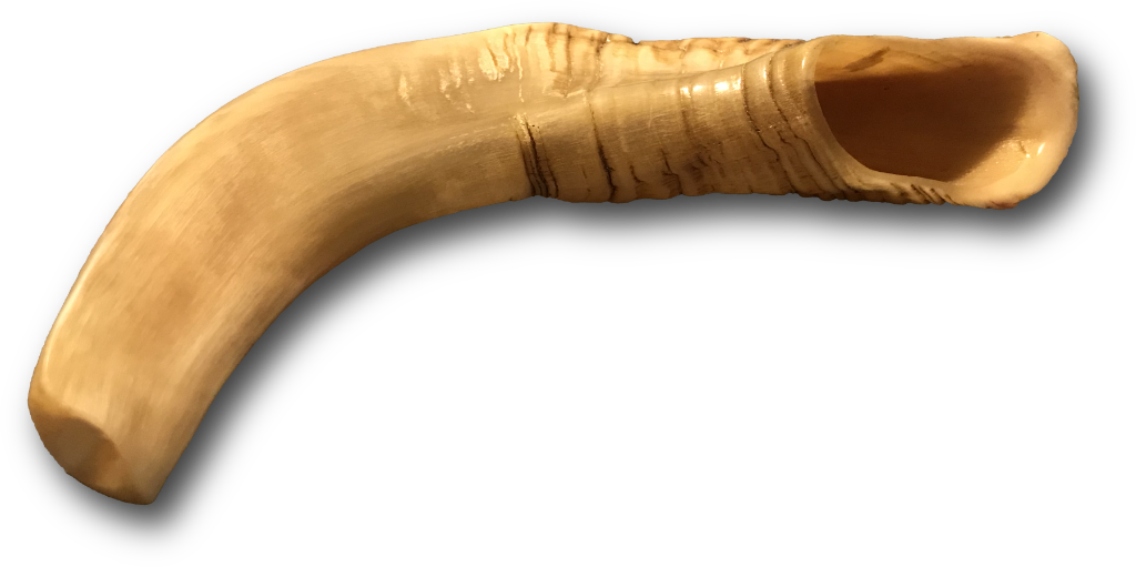 Photograph of a Shofar (Ram's Horn Trumpet)